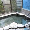 大平台温泉【旅館ともぎく】日帰り入浴記「肌に優しいアルカリ性の温泉」