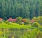 太郎布沼（福島県金山）