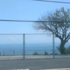 最寄り駅枯れぬみどりと秋空とそれより青き伊豆の海かな