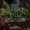 2470食目「見つけられたらそこは野菜の宝箱」→Uraiso＠夏の京都2024その4