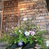〝花たち〟の花