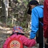 それ行け!!小猿2015秋の工石山　山を観る