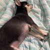まろにー2089日目