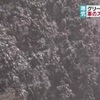 熊本グリーンロードで降雪  
