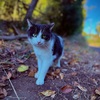 【579日目】チビ居た