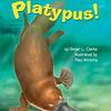 カモノハシの生態を平易な英語でまとめた読本  SIRシリーズStep 2から『Platypus!』のご紹介