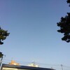 10月20日　DSDS気になる