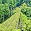 通潤橋が国宝に！！（熊本県山都町）