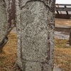 天帝三彭と刻む庚申塔（東筑摩郡山形村・白衣観世音）長野県の庚申塔 #23