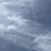暑いから考えがまとまらないかもだけど