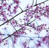 3月24日(月)のつぶやき