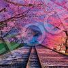 春爛漫！エポック社「桜の蹴上インクライン」500ピースジグソーパズルで自宅 de 京都旅行気分！