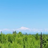 2019 夏 アラスカ③ デナリ国立公園まで（タルキートナ）
