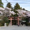 まだ間に合う！葛城古道、桜ウォーク (2)