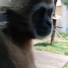 釜山　子連れ旅行にオススメのスポット釜山三晶動物園（チルドレンパーク）をご紹介