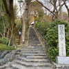 鈴虫寺も猫ちゃんも満喫したお話。