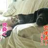朝陽にお祈り、リスタート第１回目ですよ！