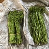 今年も魚沼から・・・