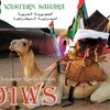 新着QSL　　－ S01WS －