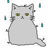6月2週目（6月3日～6月9日)の振返りと6月3週目（6月10日～6月16日)の目標設定