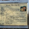 仙川公園_アンネフランクのバラ（東京都三鷹市）