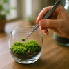 苔好き必携アイテム！「苔ピンセット」の魅力と使い方ガイド🌿