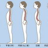 メッシュチェアで腰痛や肩こりになる？原因と解決策をご紹介！