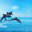 moreな「ひとりごと」