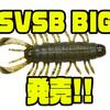 【DSTYLE】大きいサイズの沈む虫ワーム「SVSB BIG」発売！