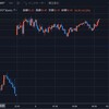 【損切り】ぶち上げしたのに大損しました - トライオートETF【発動】