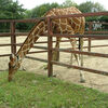 ２０２３／０４／１４　東武動物公園