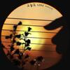 Hi-Fi Un!corn - Still You 歌詞 ( Lyrics)「和訳対照」