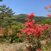 つつじ山公園