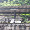 肥薩線　吉尾駅