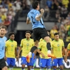 コパアメリカ：修羅の国のサッカー