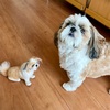 少しは涼しくなったかな？