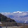お花見前の雪見(^O^)