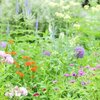 好きなこと再確認、手芸とお菓子づくり