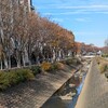 会長寺田の水辺愛護会活動で嬉しかった６つの出来事