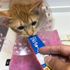 抜糸を終えて元気な宙！