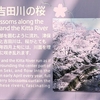 通年の親水性