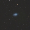 ろ座の惑星状星雲NGC1360