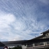 今日も良い天気☀