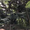 朝活ウォーキングで京都観光