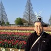 あけぼの山農業公園前のチューリップ