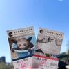 『上野』Vol.2　少し観光がてら上野動物園へ💨