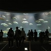 7館目：葛西臨海水族園(東京) 2021/11/11