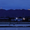 夜のコウノトリ