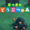 『あつまれ どうぶつの森』は泣きゲーである