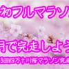 【第29回】初フルマラソンを4ヶ月で完走しよう！『本番と同じ時間帯に走ろう！』